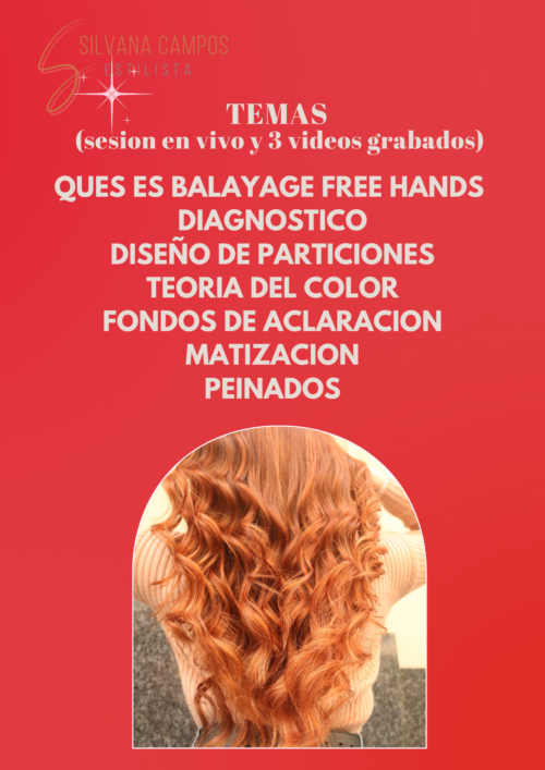 Tutorial Paso a Paso Mechas a Mano Alzada - Imagen 3