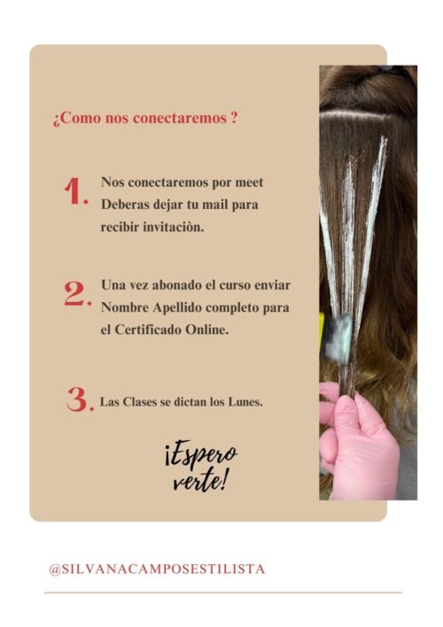 Formación Online Crea Tu Diseño de Mechas - Imagen 5