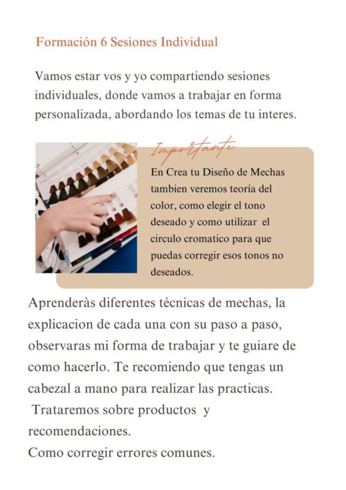 Formación Online Crea Tu Diseño de Mechas - Imagen 2